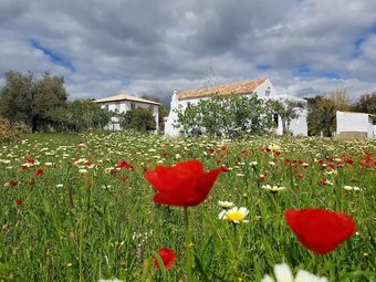 Agroturismo Quinta Dos Cochichos