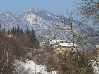 B&B Oltre Il Bosco