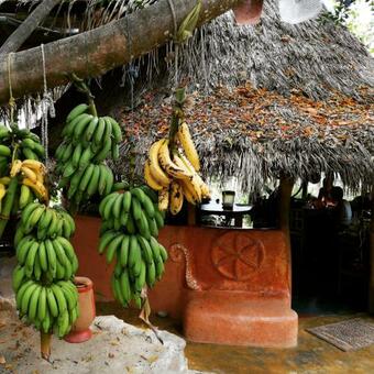 Agroturismo Sol De Minca Eco Lodge