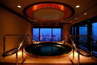 Hotel The Ritz-carlton, Tokyo