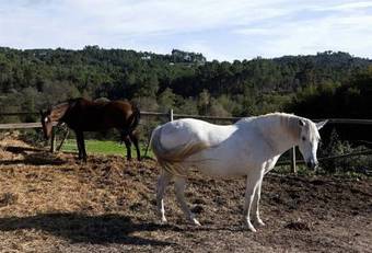 Agroturismo Quinta Do Medronheiro Hotel Rural